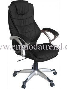 yönetici koltukları 1