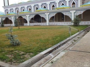 Eskişehir buhara köyü 8