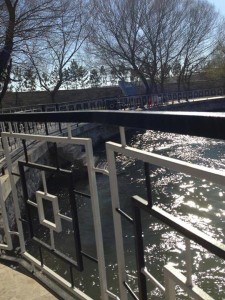 bilvanis köyü resimleri 5