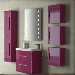 Banyo dolapları çamaşır makinesi dolapları 21 mor renk banyo dolabı