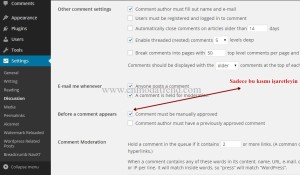 Wordpress aynı ziyaretçinin ikinci yorumu kapatma