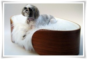 Köpeğiniz için rahat köpek yatakları 1 rahat kopek yataklari001