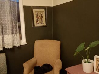 ikinci el bellona koltuk takimi 1